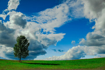 field and blue sky