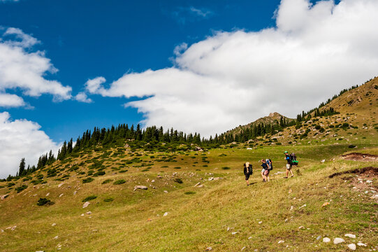 Trekking group of hikers in Karakol valley on trail to Ala Kul lake. Karakol valley, Issyk-kul region, Ala-kul lake Terskey Alatau mountain range, Kyrgyzstan, Central Asia.