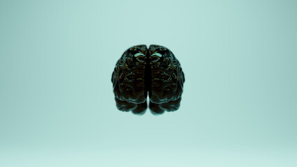 Shiny Black Brain Anatomy Cerebral Power Red Blue Oil Reflection Front 3d illustration render