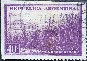 Argentina - circa 1952: A post stamp from the Argentina showing a sugar cane field with plants and...