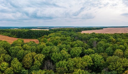 Harvested field between forests under sky with stormy clouds