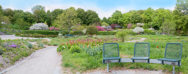 Obraz premium beautiful spring landscape, city park munich Westpark, with flowers and seat group