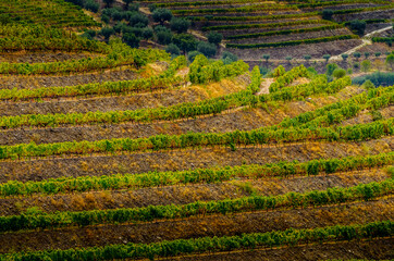 Reportage Portugal