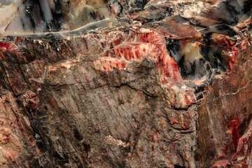 Detail of a piece of petrified wood showing bark and quartz of various colors of deep red, cream, brown, and  black