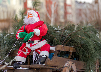 Snow-covered Doll Santa Claus on a sleigh in a harness carries pine branches