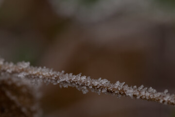 Eiszeit 