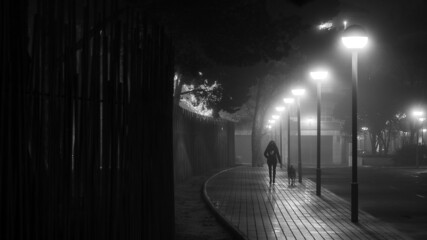 Woman and dog walking in the street at night