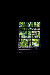 View from a dark barn through a window closed with an iron grate