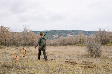 Hunter woman with shotgun hunting in the field.