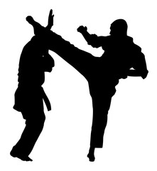 silhouette of karate athletes vector