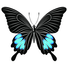 Beautiful butterfly for a logo. Vector illustration.

