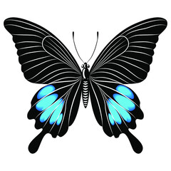 Beautiful butterfly for a logo. Vector illustration.

