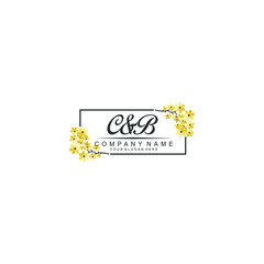 CB Initial handwriting logo vector. Hand lettering for designs