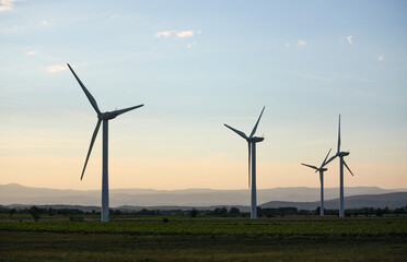 Wind turbine in the field at sunset