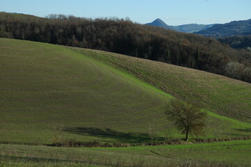 Paesaggi della campagna della Val di Cecina. tra province Siena e Pisa