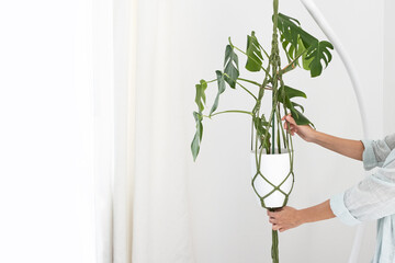 Handmade green macrame plant hangers with potted plant are hanging on woman hand. pot and monstera plant