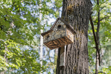 Old yellow bird and squirrel house from wood is hanging on a pine tree in a park in summer
