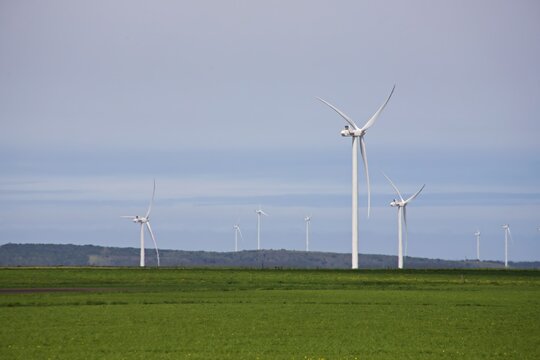 Wind turbines accross the agricultural landscape in the Eastern Cape Province of South Africa