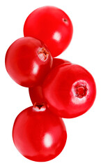 cranberry isolated on white background. Fresh cranberries with clipping path