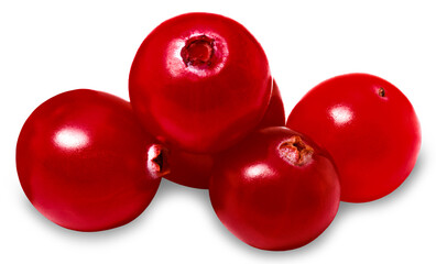 cranberry isolated on white background. Fresh cranberries with clipping path