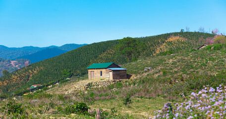 Small country house on green field summer valley landscape in blue sky with white cloud in Da Lat, Lam Dong, Viet Nam