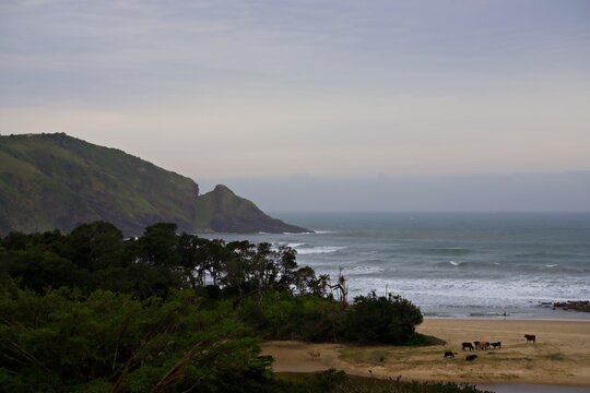 View of second beach at Port Saint Johns in the Transkei, South Africa