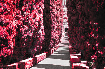 Infrared landscape in Italy