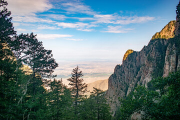 Mountain view with trees and rocks