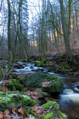 river in the forest (Harz, Germany)