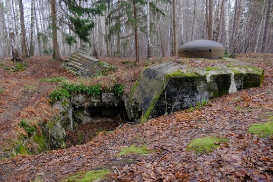 German bunkers in The Second World War forest near Braniewo, Poland