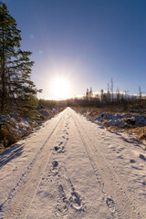 hiking path during winter (Harz, Germany)
