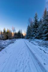 hiking path during winter (Harz, Germany)