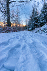 footsteps at a hiking path during winter (Harz, Germany)