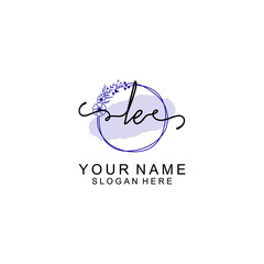 Initial LE beauty monogram and elegant logo design  handwriting logo of initial signature