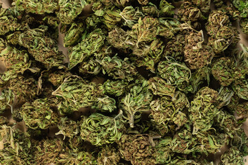 Close-up shot of dry trimmed cannabis flower buds, ready for use.