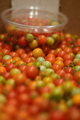 cherry tomatoes in a container ready for sale with blurred fruits in the background and frond