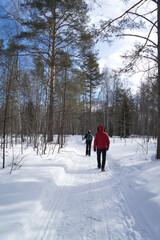 A man in a red jacket and a boy in a black jacket with a blue backpack are walking along a path in a winter snow-covered forest on a sunny day. View from the back. Tourism, healthy lifestyle concept