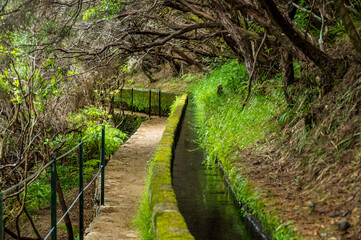 Hiking through old forest along water, exploring 25 waterfall on Madeira.