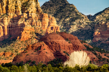 Layers of colors included in this Sedona Arizona landscape, from the bare white tree in the foreground, to the red rocks behind it and towering sands tone hills 