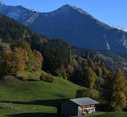 Fototapeta na wymiar suisse alpine en automne