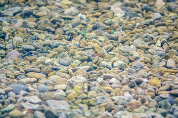 loose sandstone with vegetation growing through