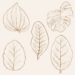 hand drawn leaf line art, hand drawn nature painting. Free hand sketch illustration.