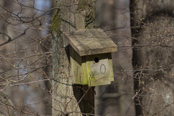 Alter Nistkasten im Wald