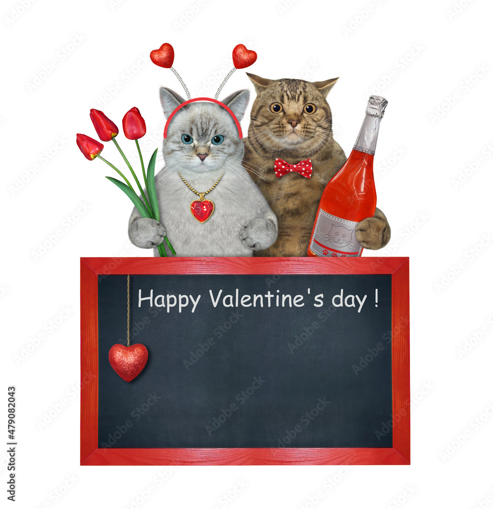 Wall mural Two cats in love are near a blank blackboard. Happy Valentines day. White background. Isolated.