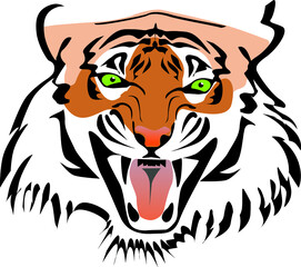 Front view of angry roaring toothy tiger face color vector illustration close up portrait