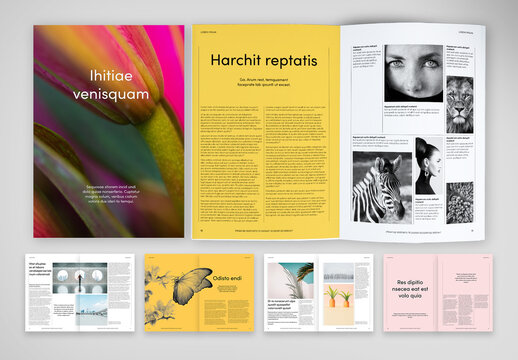 Organic and Natural Magazine