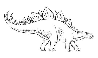 Stegosaurus herbivorous dinosaur on white background. There are plates on the back, sharp thorns on the tail. Jurassic prehistoric animal. Vector isolated line illustration hand drawn. Black and white