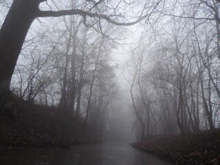 Fototapeta na wymiar Forest stream with fog