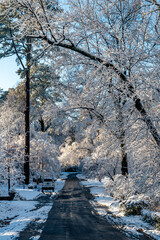 Richmond, Virginia, - 1/4/2022 - The first snowfall in the suburbs of Richmond with snow covered...