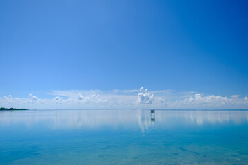 Calm and crystal clear waters of the Florida Keys with some mangrove trees in the background - 479086832